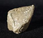 Goniophyllum pyramidale (HISINGER 1831) - Bild © FossNet FossilienStore